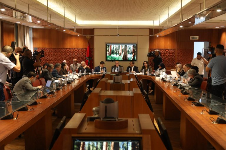 تعديلات جديدة تمكن الصحافي من حقوق المؤلف وتشدد الخناق على منتحلي الصفة