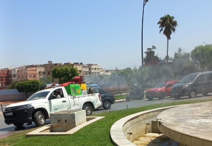 ابن امسيك تواجه غزو الحشرات والقوارض بحملة صيفية لتحصين الأحياء من الأوبئة