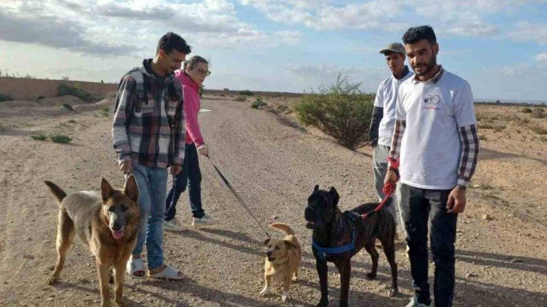 مشروع إيطالي في المغرب يجمع بين إنقاذ الحيوانات وخلق فرص شغل للشباب