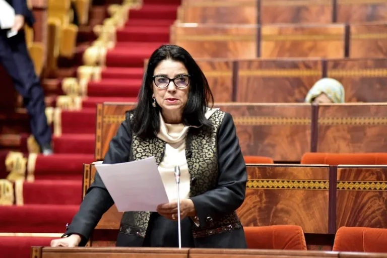 السغروشني تكشف مآل مليار درهم لتفعيل الأمازيغية بالإدارات والمرافق العمومية