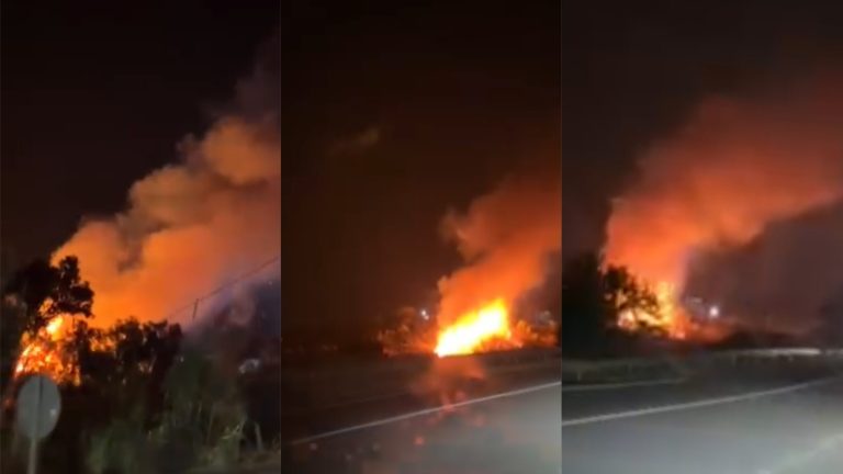 توقيف مشتبه به في إضرام النار بغابة دار الفول ضواحي طنجة (صور)